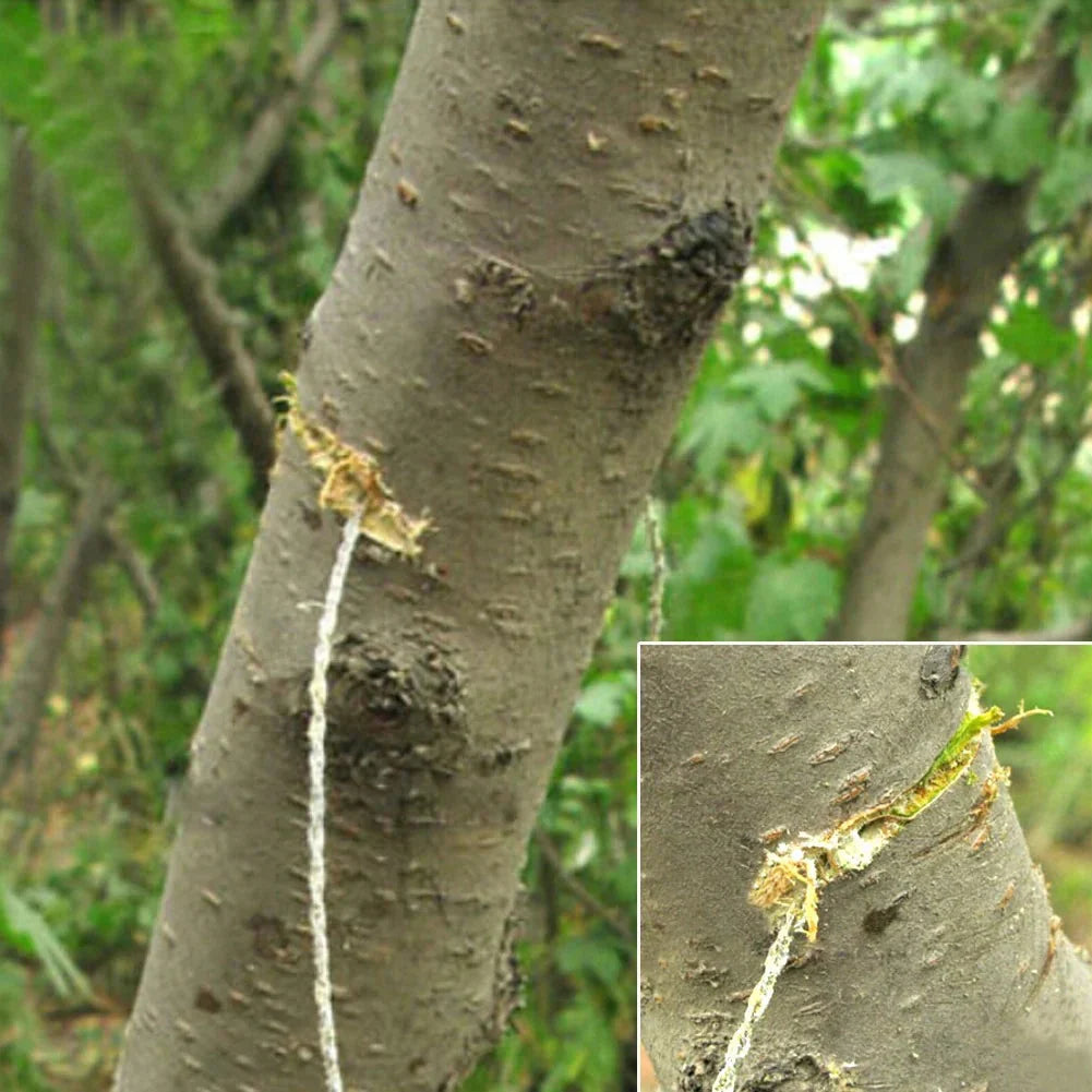 Compact Stainless Wire Survival Saw